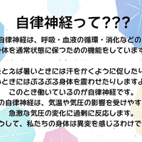 画像1054